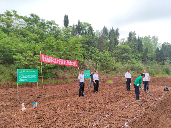 图片2.png 图片2.png