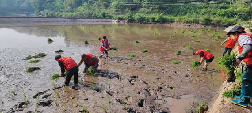 图片3.png 图片3.png