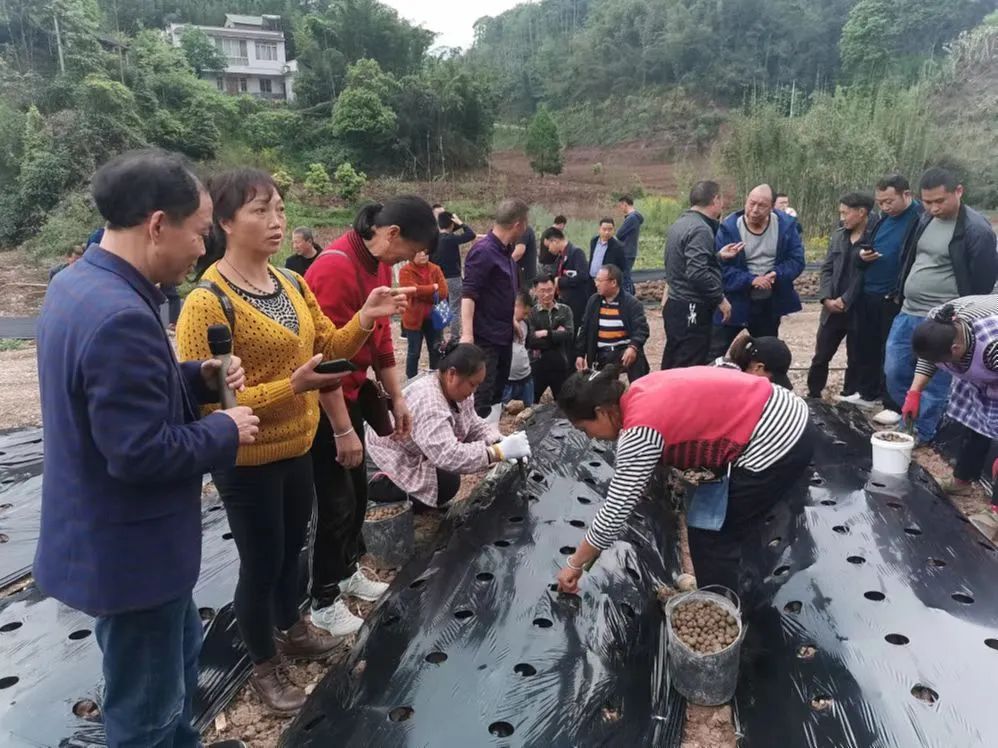 “农村家庭能人”特色培养计划——返乡创业培训班照片1.jpg “农村家庭能人”特色培养计划——返乡创业培训班照片1.jpg