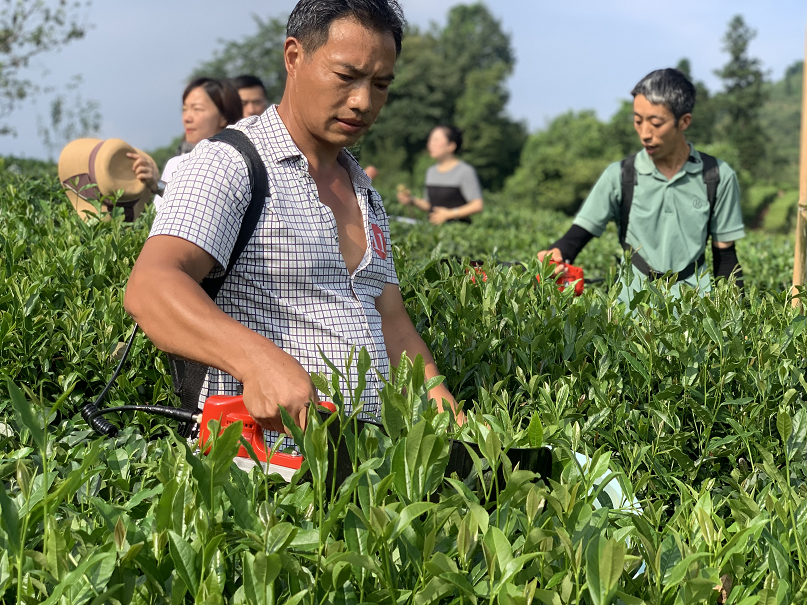 图片1.png 图片1.png