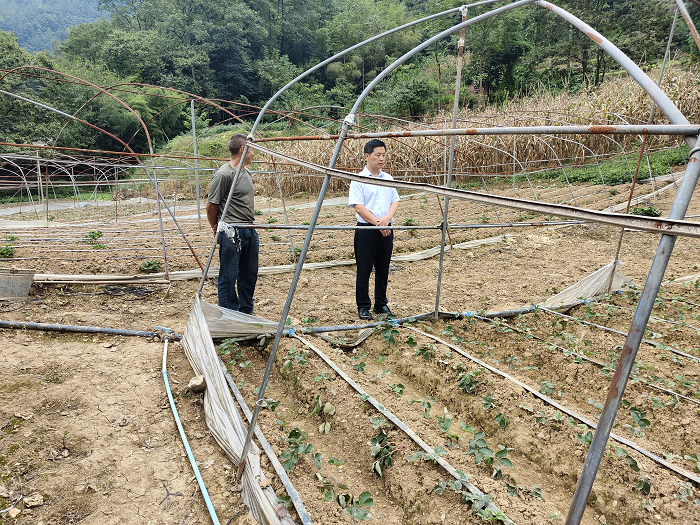 图片6.png 图片6.png