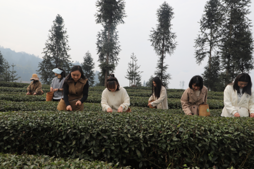 1678095465795.png 1678095465795.png