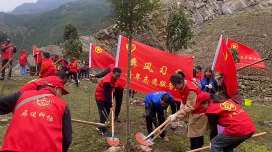 cb8c0a8d34bfb84d1fd86567bc155c8.png cb8c0a8d34bfb84d1fd86567bc155c8.png