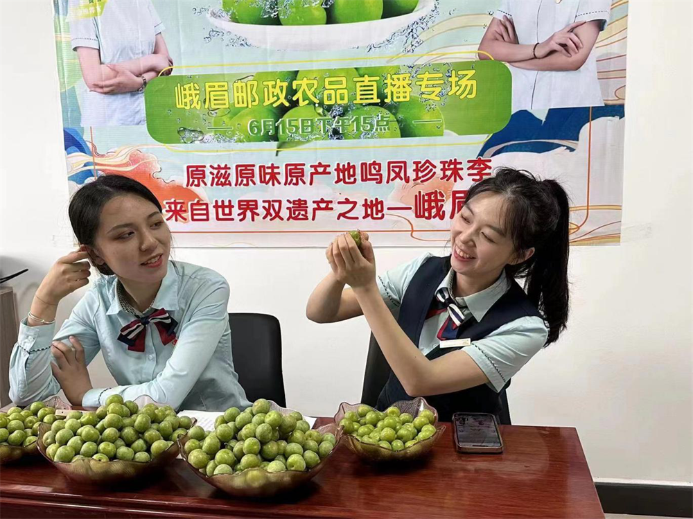 图片2.png 图片2.png