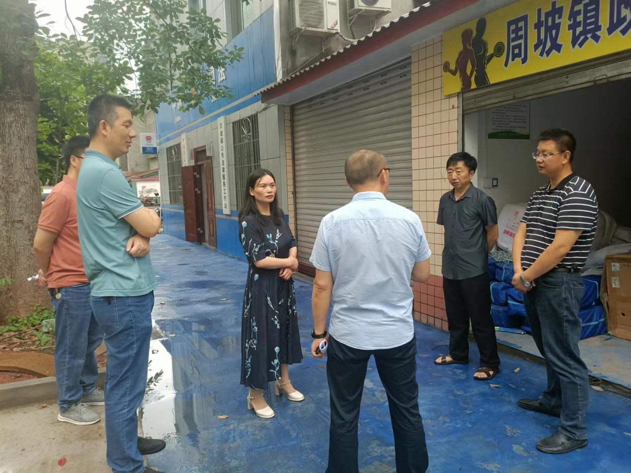 纯纯粹粹.png 纯纯粹粹.png