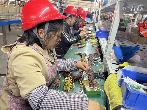 图片4.png 图片4.png