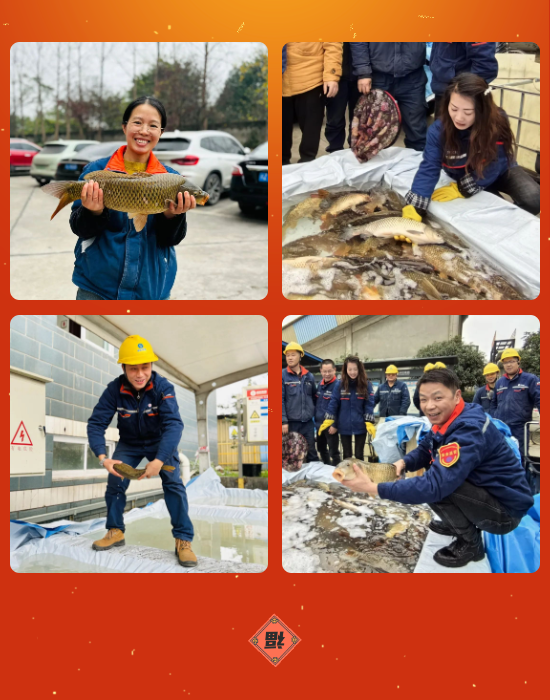 图片4.png 图片4.png