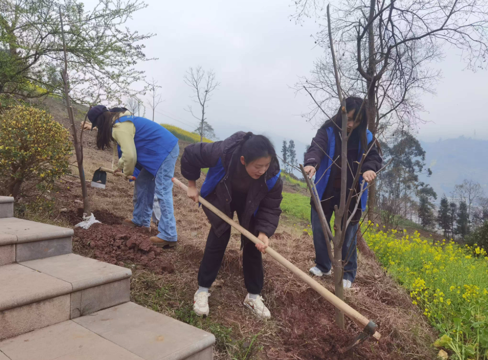 1741674409601.jpg 1741674409601.jpg