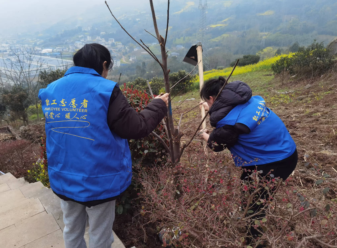 1741674435573.png 1741674435573.png