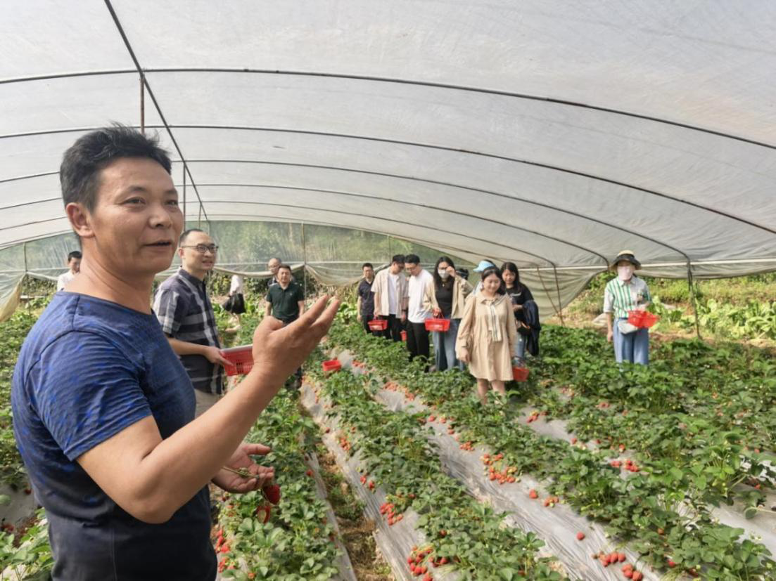 图片2.png 图片2.png