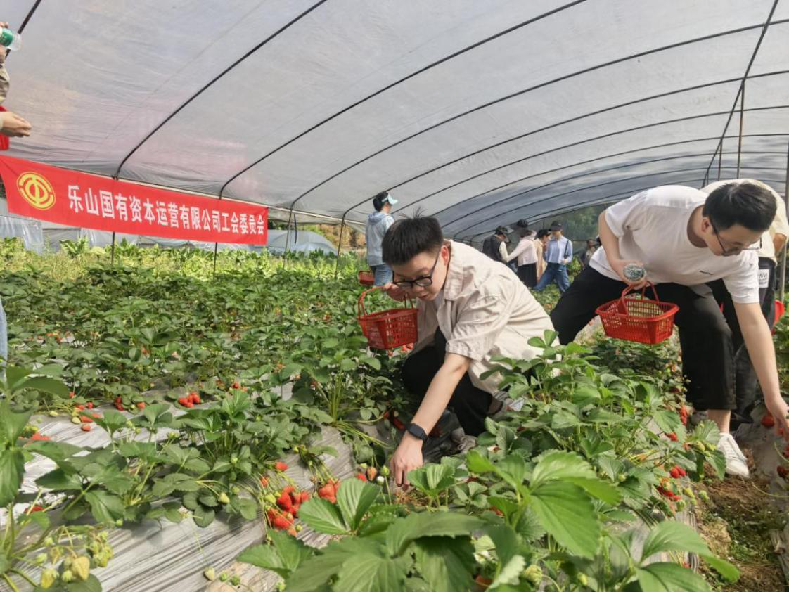 图片3.png 图片3.png