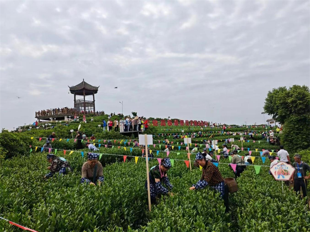 图片1.png 图片1.png