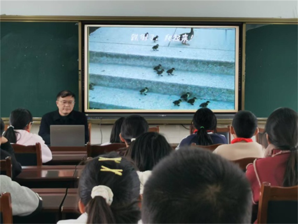 图片3.png 图片3.png