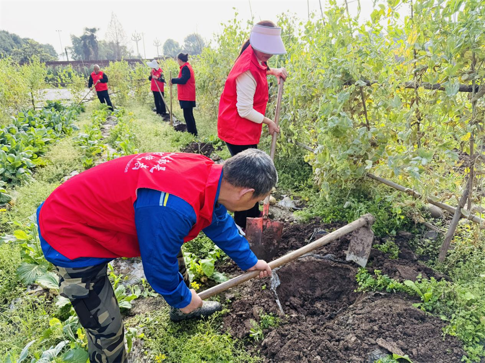 图片5.png 图片5.png